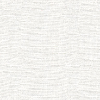 Bankers Linen Fabric by Brunschwig & Fils in Cloud