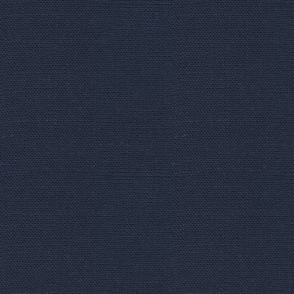 Bankers Linen Fabric by Brunschwig & Fils in Ink