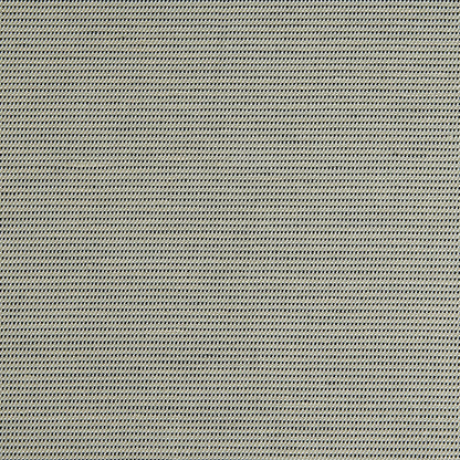 Chloe Fabric by George Spencer Designs in Nero