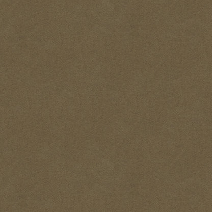 Chevalier Wool Fabric by Brunschwig & Fils in Taupe