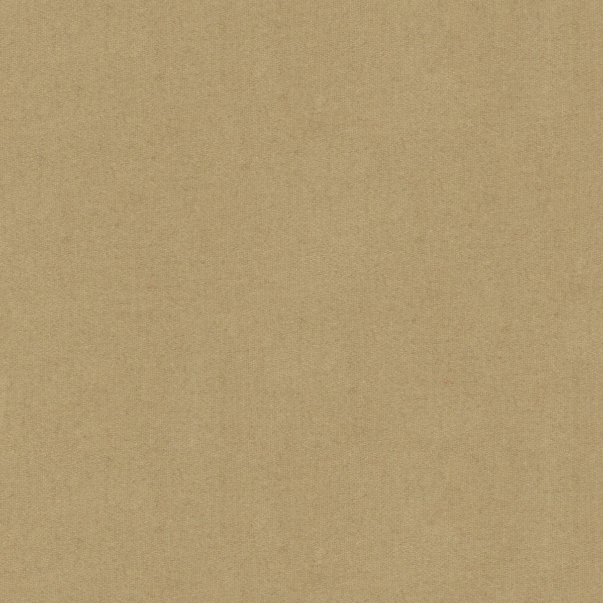 Chevalier Wool Fabric by Brunschwig & Fils in Putty