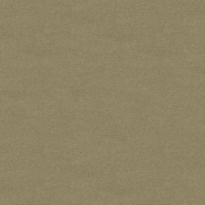 Chevalier Wool Fabric by Brunschwig & Fils in Greige