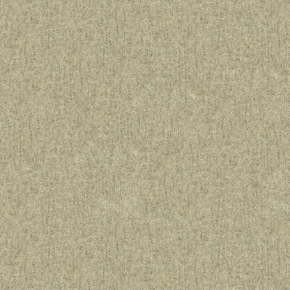 Chevalier Wool Fabric by Brunschwig & Fils in Ash