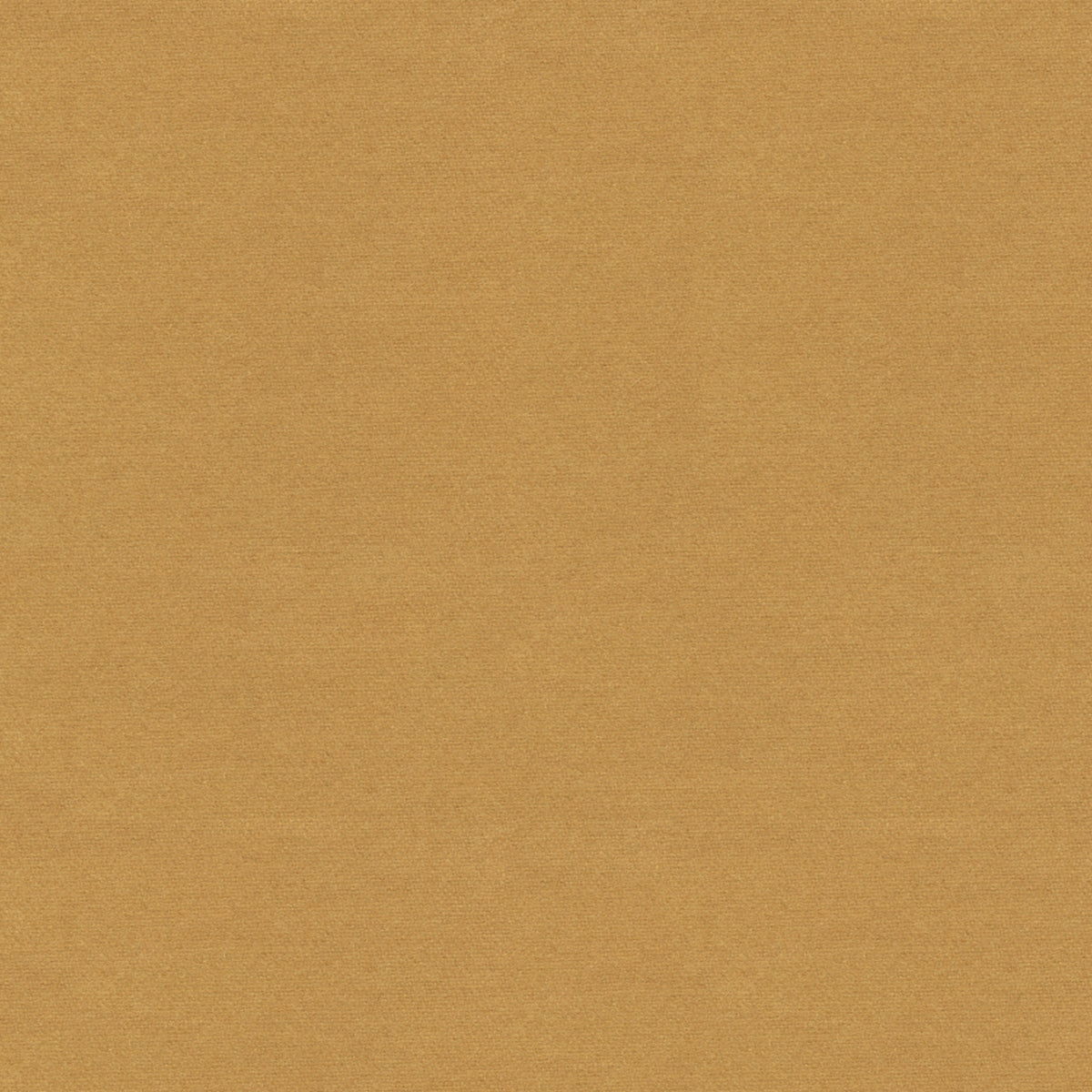 Chevalier Wool Fabric by Brunschwig & Fils in Biscuit