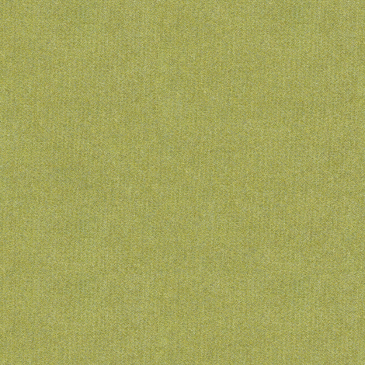 Chevalier Wool Fabric by Brunschwig & Fils in Leaf