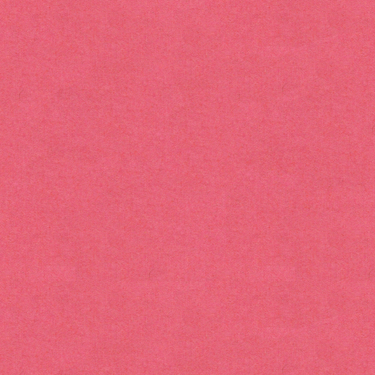 Chevalier Wool Fabric by Brunschwig & Fils in Blossom