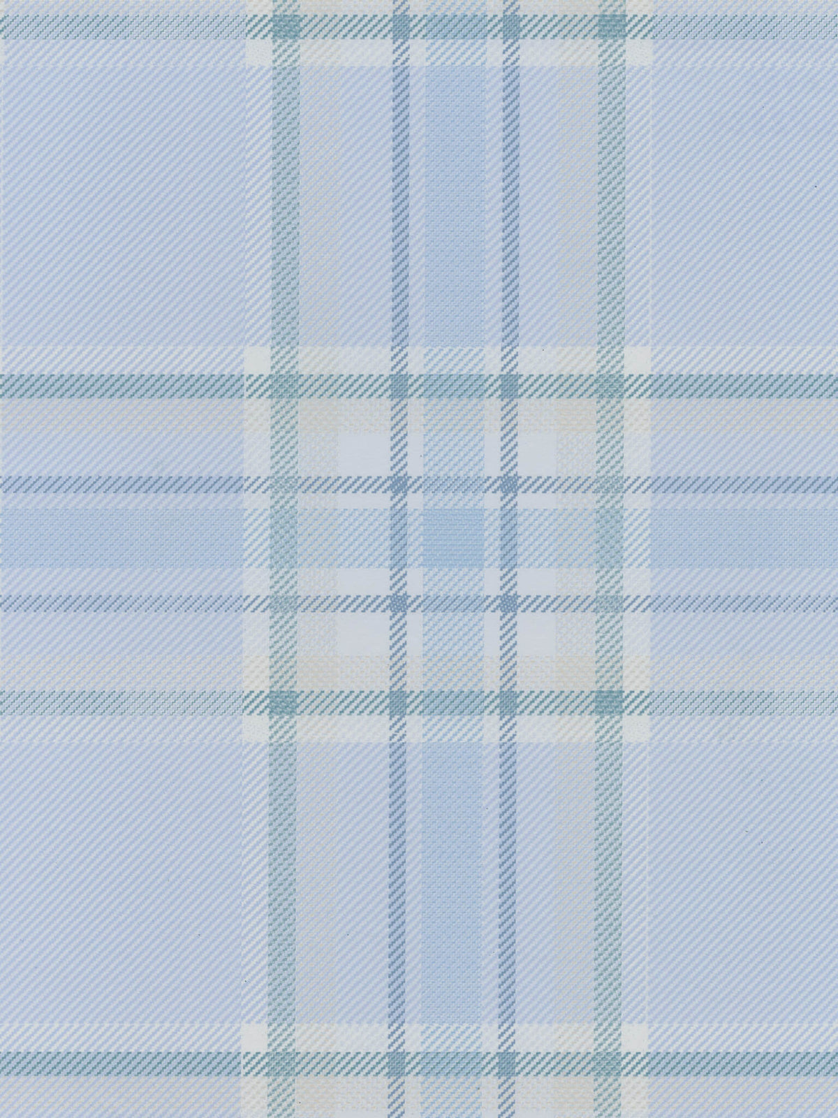 Queen's Hall Wallpaper by Holland & Sherry in Levee