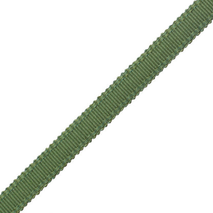 9/16" Cambridge Strie Braid Trim by Samuel & Sons in Parsley