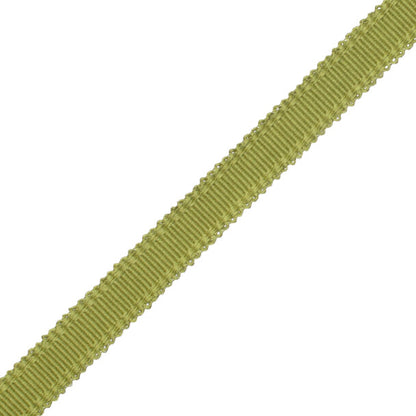 9/16" Cambridge Strie Braid Trim by Samuel & Sons in Meadow