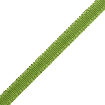 9/16" Cambridge Strie Braid Trim by Samuel & Sons in Lime
