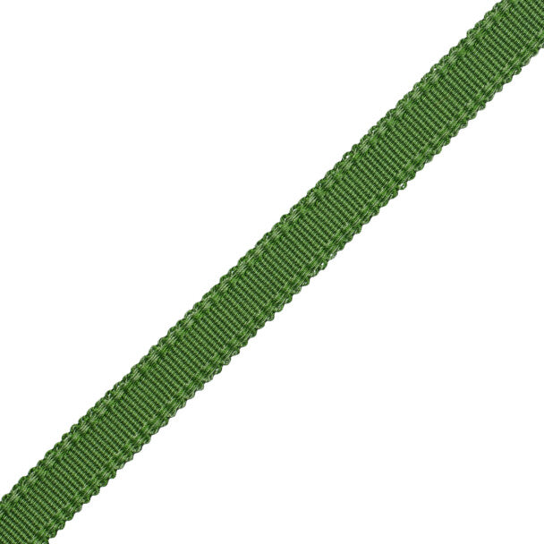 9/16" Cambridge Strie Braid Trim by Samuel & Sons in Spring Green