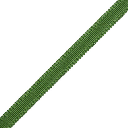 9/16" Cambridge Strie Braid Trim by Samuel & Sons in Spring Green