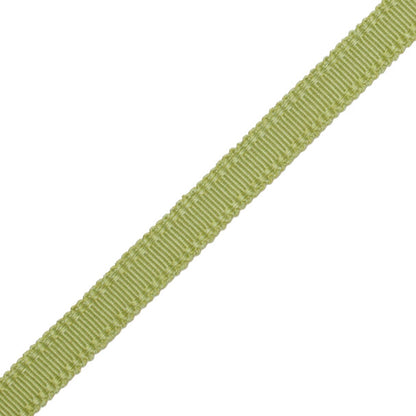 9/16" Cambridge Strie Braid Trim by Samuel & Sons in Grasshopper