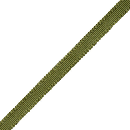 9/16" Cambridge Strie Braid Trim by Samuel & Sons in Basil