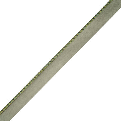 1/8" Cambridge Cord With Tape Trim by Samuel & Sons in Parsley