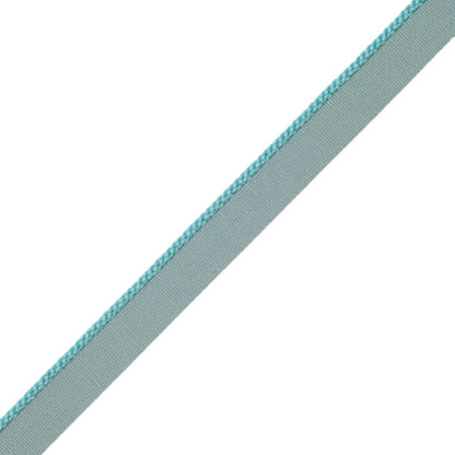 1/8" Cambridge Cord With Tape Trim by Samuel & Sons in Robins Egg