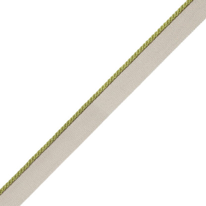 1/8" Cambridge Cord With Tape Trim by Samuel & Sons in Meadow