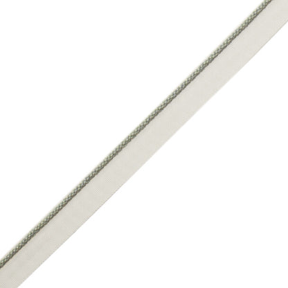1/8" Cambridge Cord With Tape Trim by Samuel & Sons in Glacier Blue