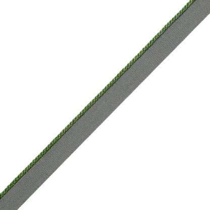 1/8" Cambridge Cord With Tape Trim by Samuel & Sons in Spring Green