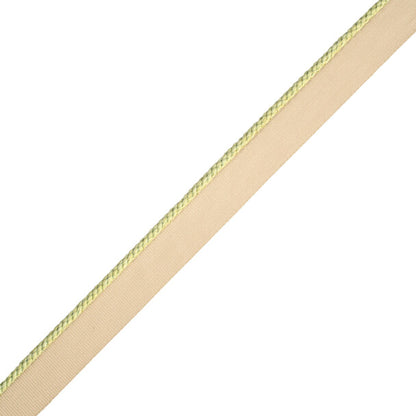 1/8" Cambridge Cord With Tape Trim by Samuel & Sons in Grasshopper