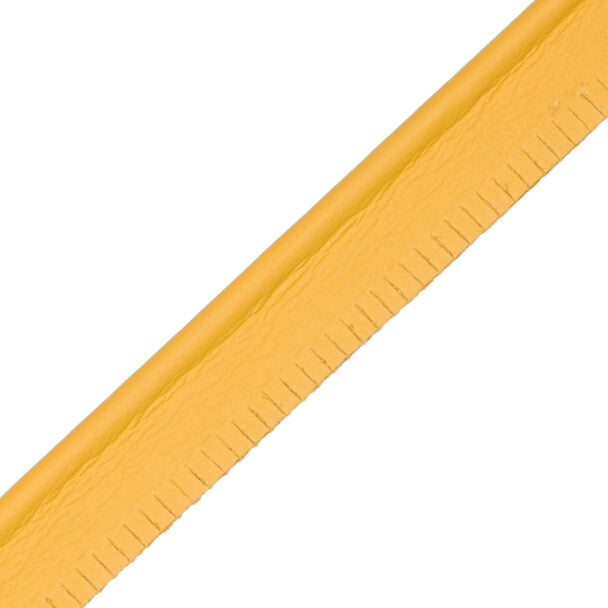 5/32" Leather Piping Trim by Samuel & Sons in Butterfield