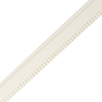 5/32" Leather Piping Trim by Samuel & Sons in Arctic White