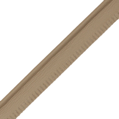 5/32" Leather Piping Trim by Samuel & Sons in Morning Shadow