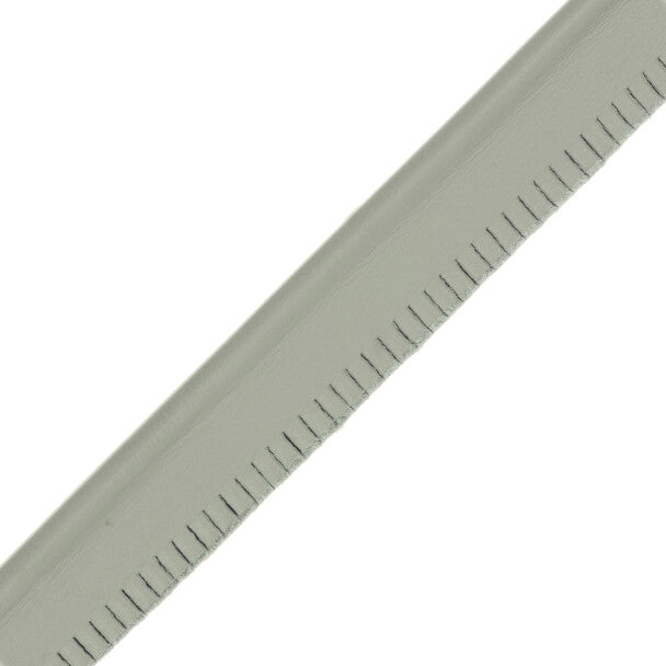 5/32" Leather Piping Trim by Samuel & Sons in Glacier Bay