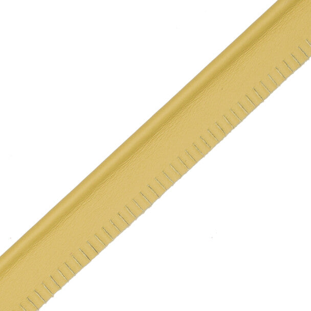 5/32" Leather Piping Trim by Samuel & Sons in Lichen