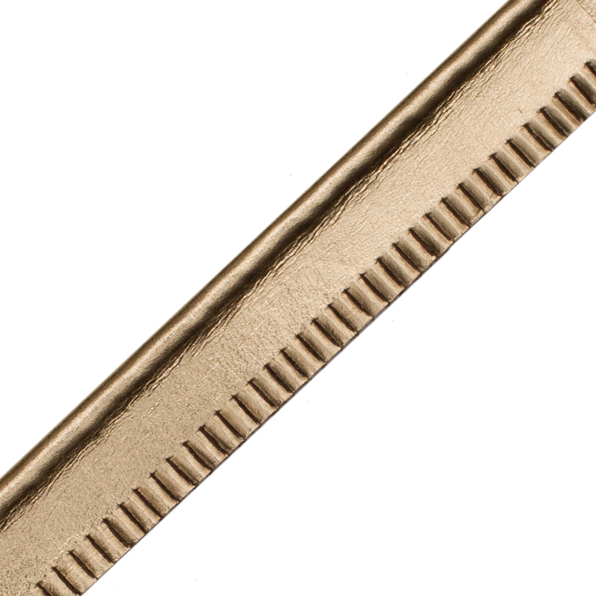 5/32" Leather Piping Trim by Samuel & Sons in Metallic Gold
