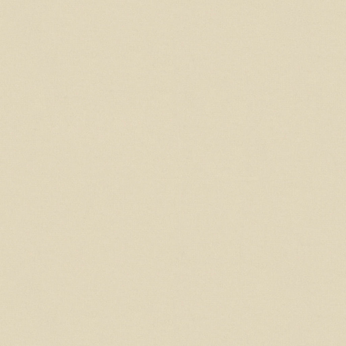 Oxford Velvet - Blanc