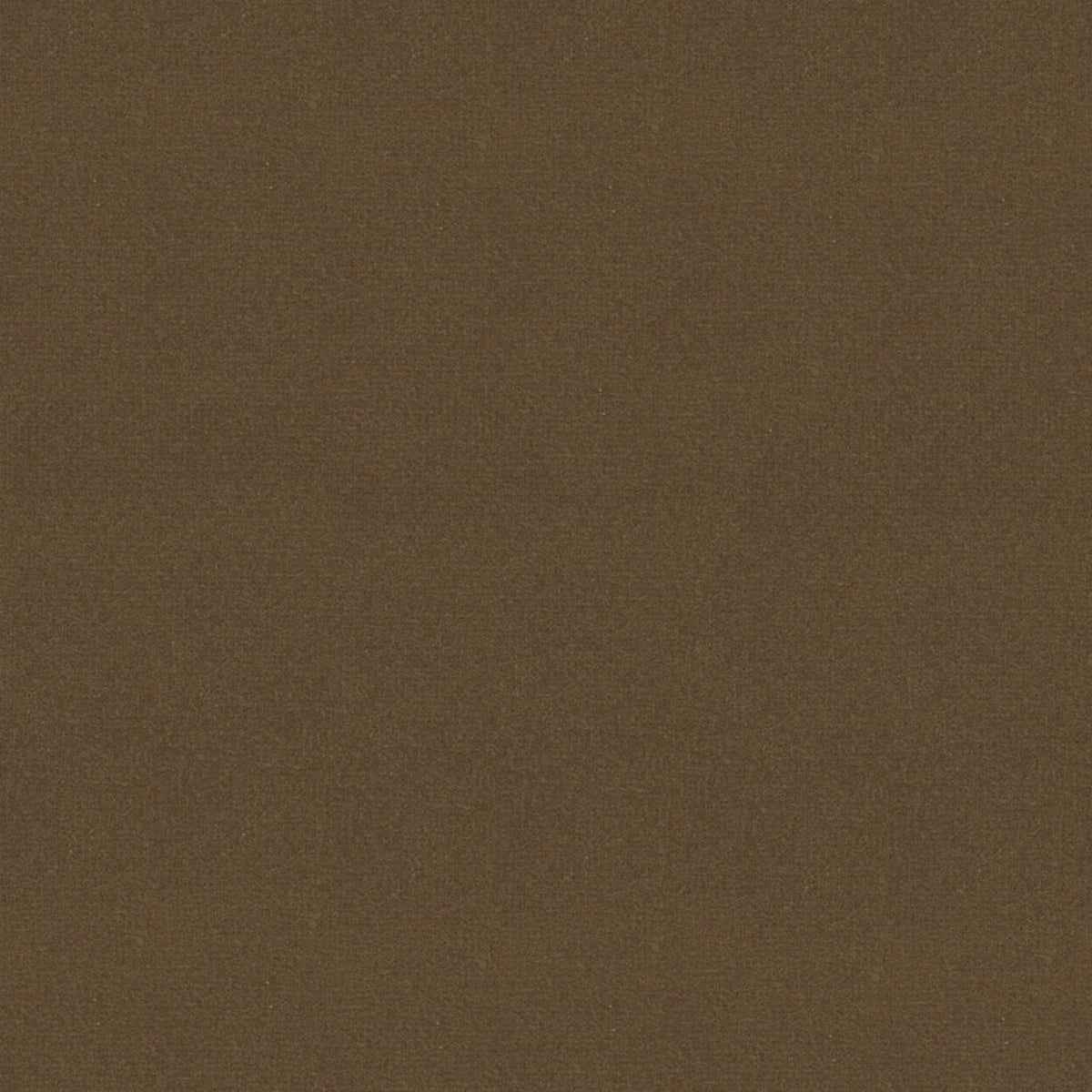 Oxford Velvet - Mocha