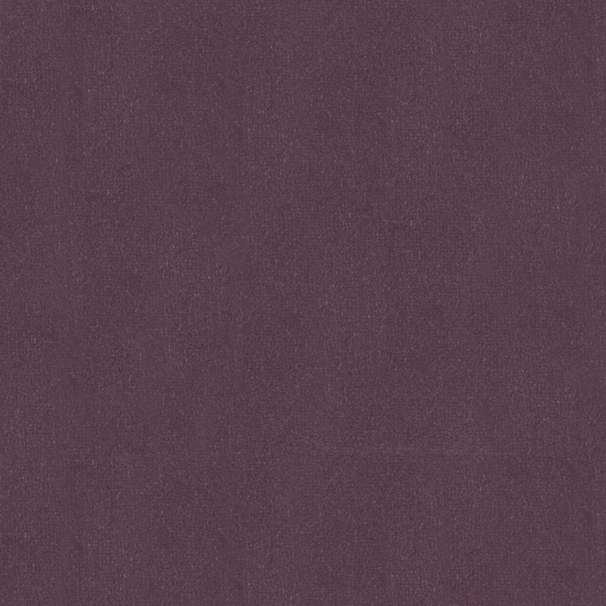Oxford Velvet - Lilac