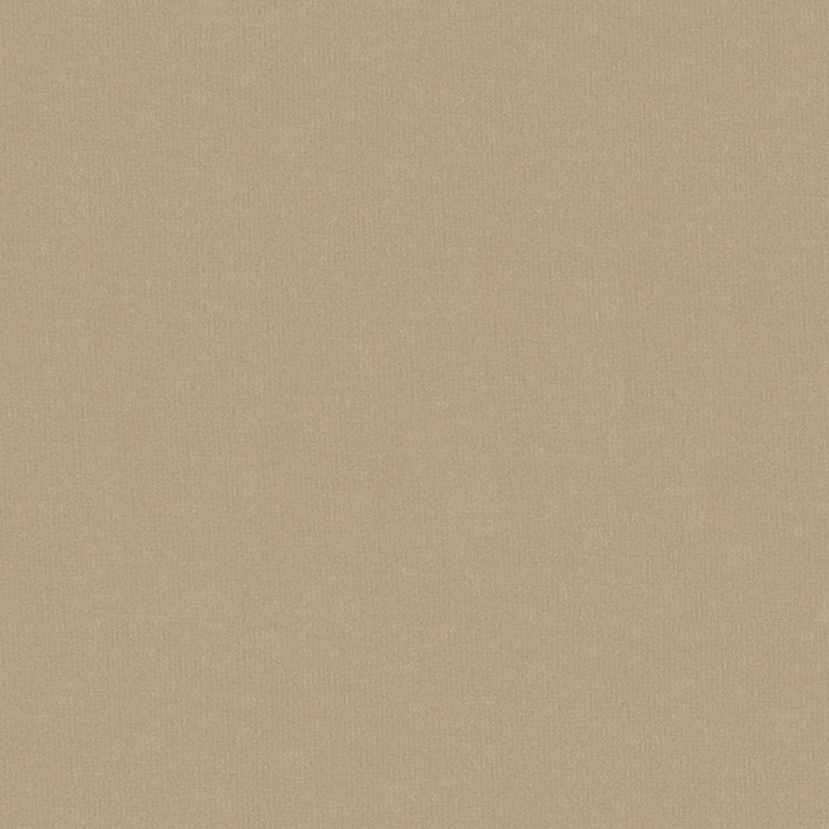 Oxford Velvet - Sandstone