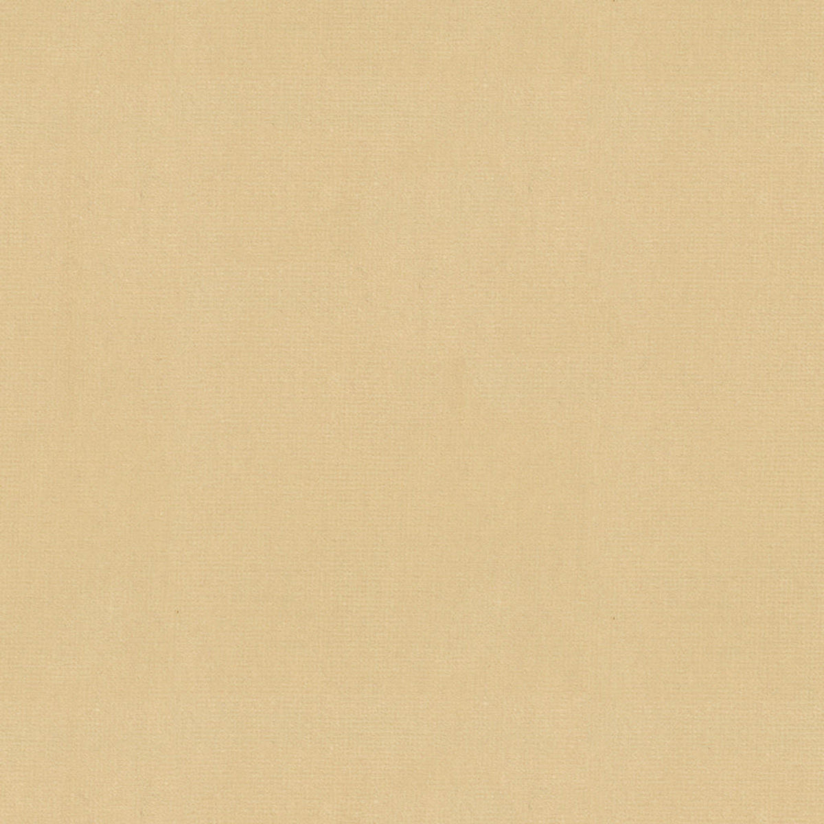 Oxford Velvet - Cream