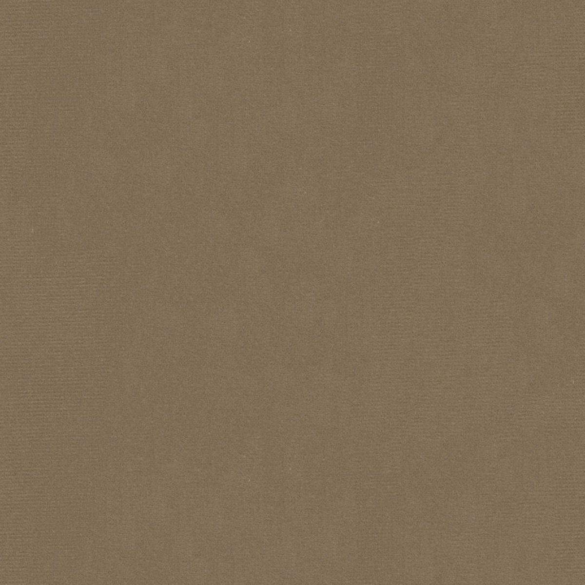 Oxford Velvet - Taupe
