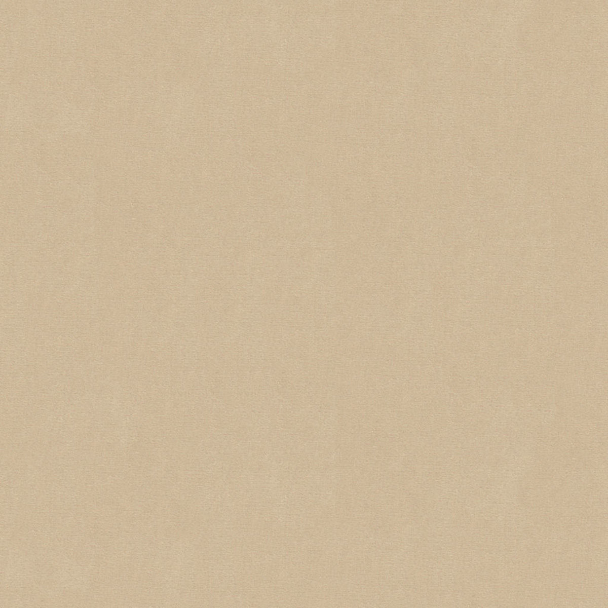 Oxford Velvet - Sand