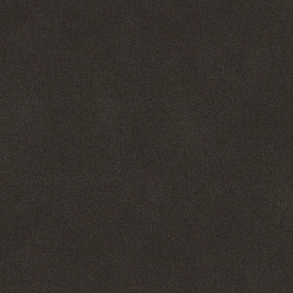 Oxford Velvet - Gray