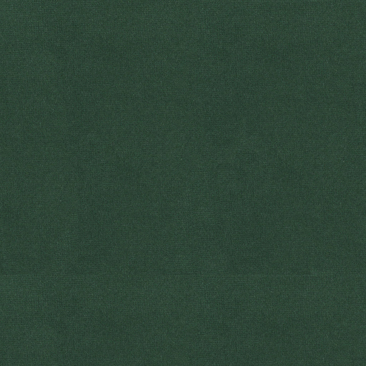 Oxford Velvet - Sea Green