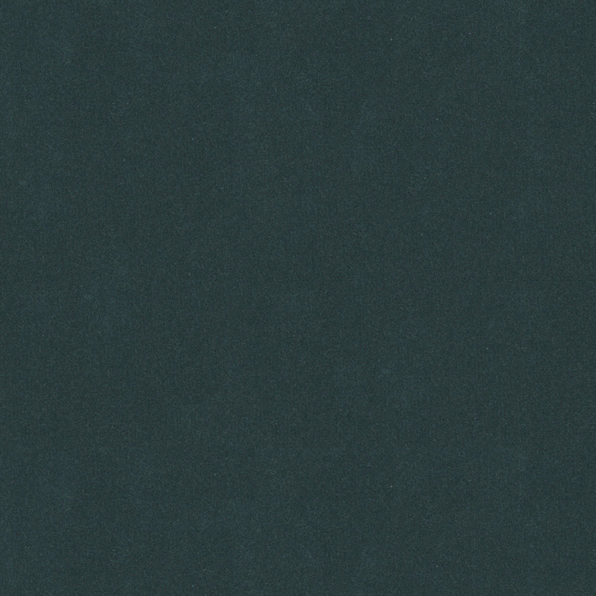 Oxford Velvet - Teal