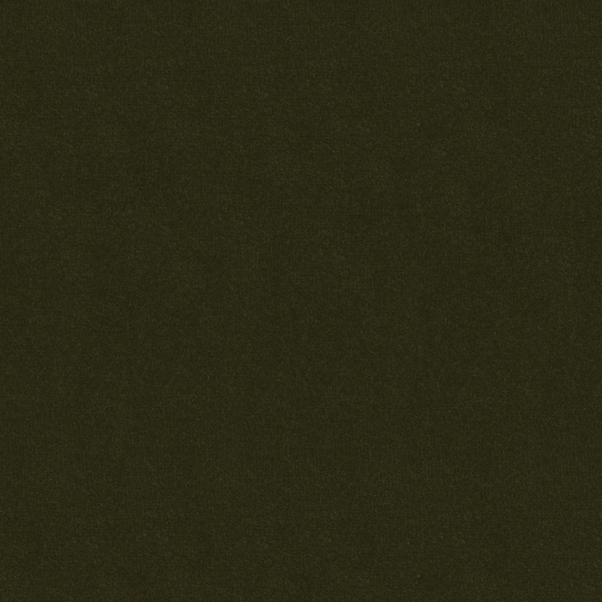 Oxford Velvet - Forest