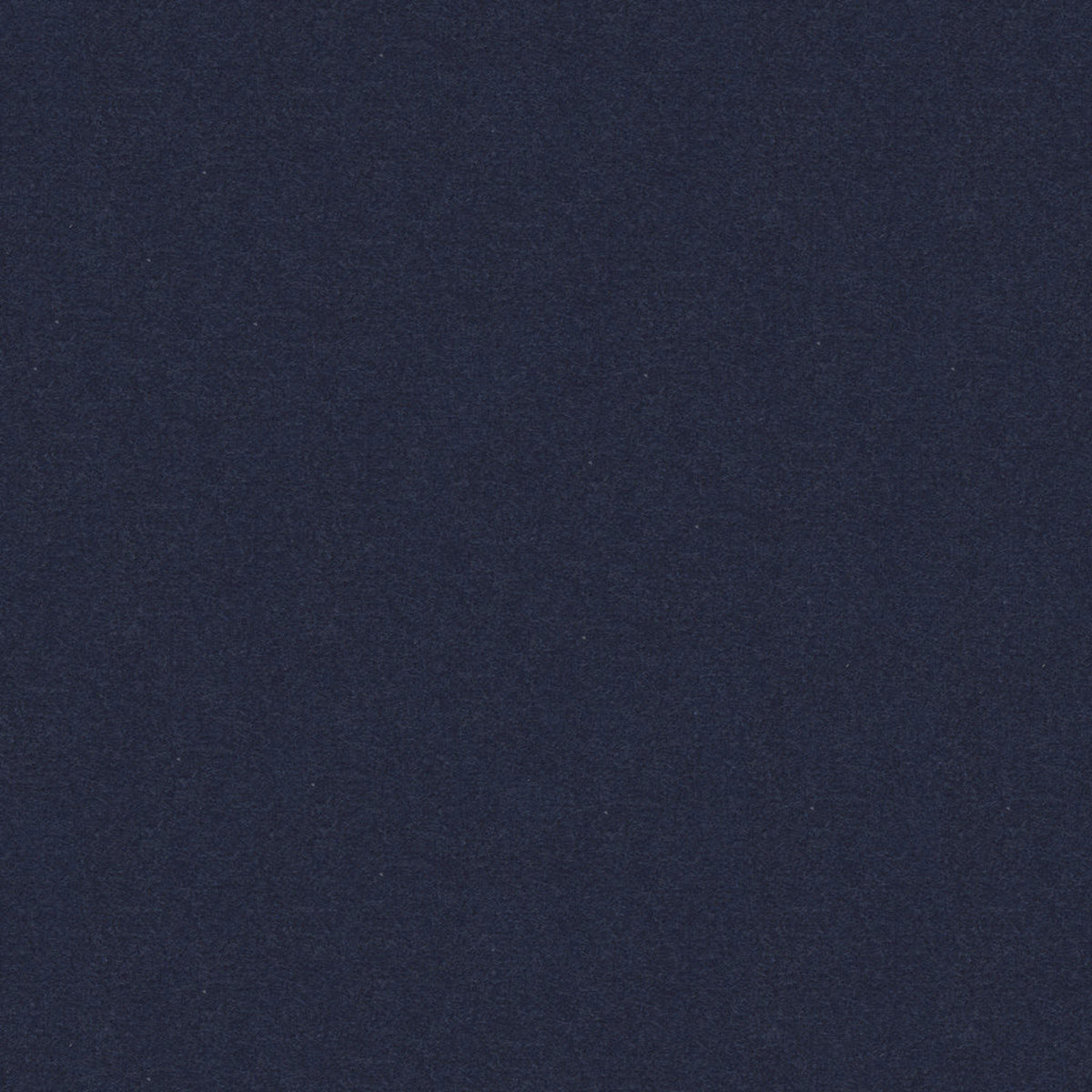 Oxford Velvet - Royal