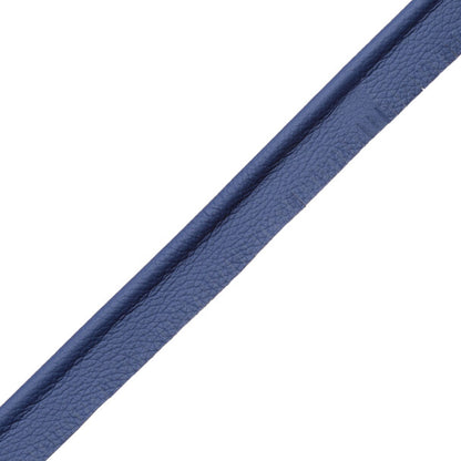 7/32" Leather Piping Trim by Samuel & Sons in Cerulean