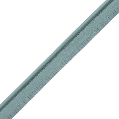 7/32" Leather Piping Trim by Samuel & Sons in Caribbean