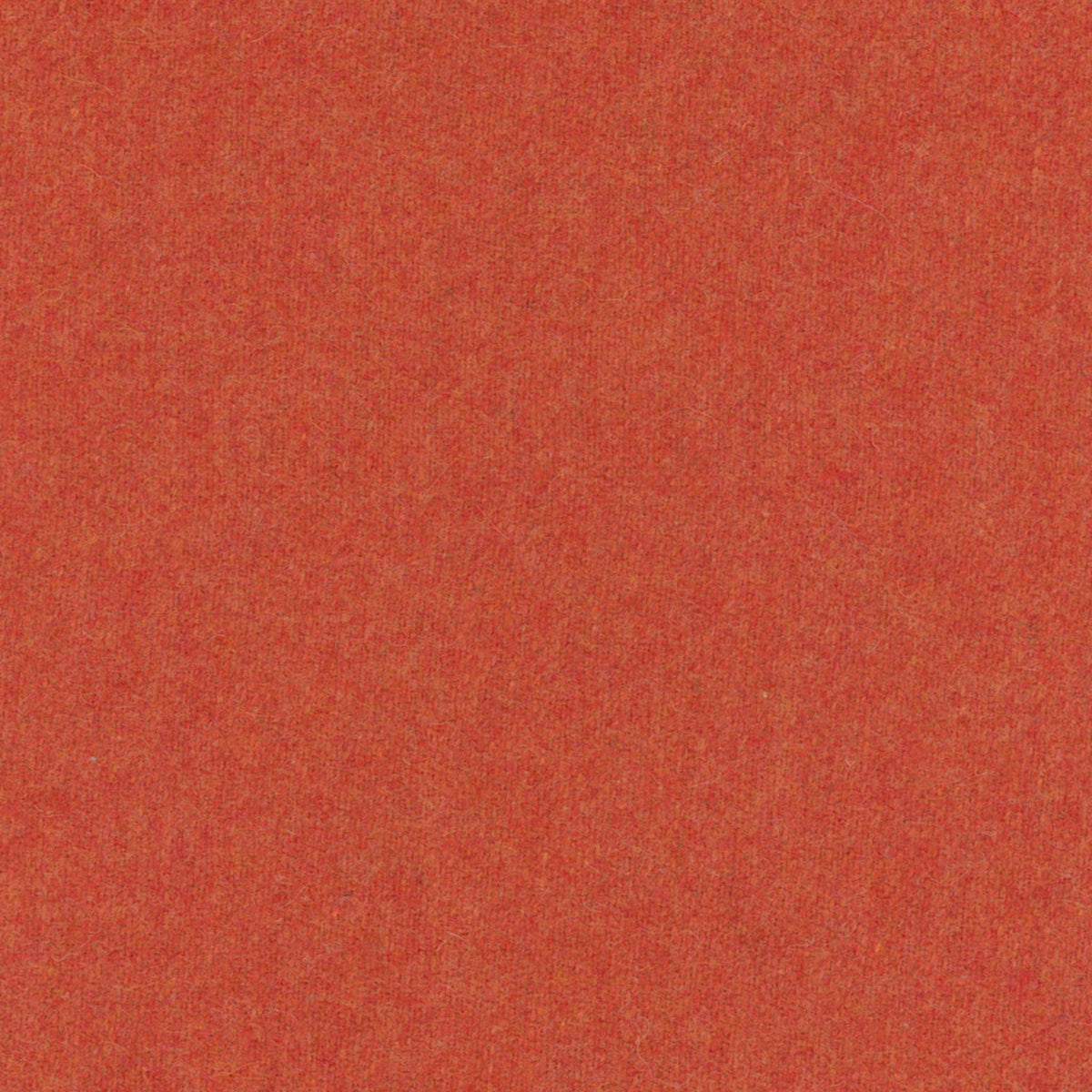 Skye Wool - Persimmon