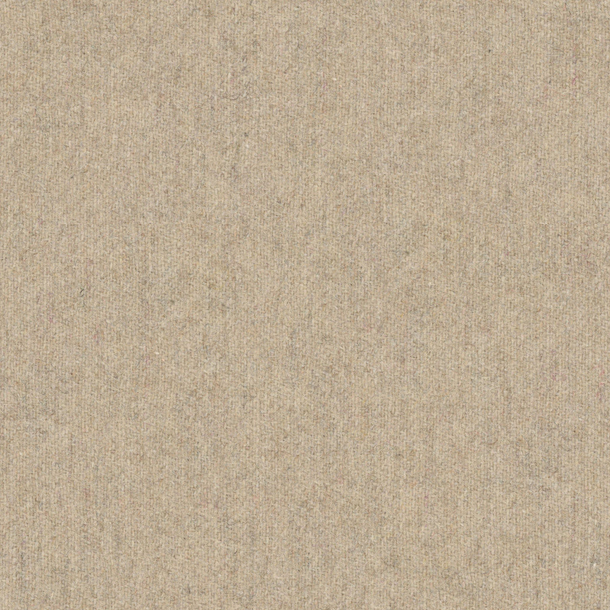 Skye Wool - Biscotti
