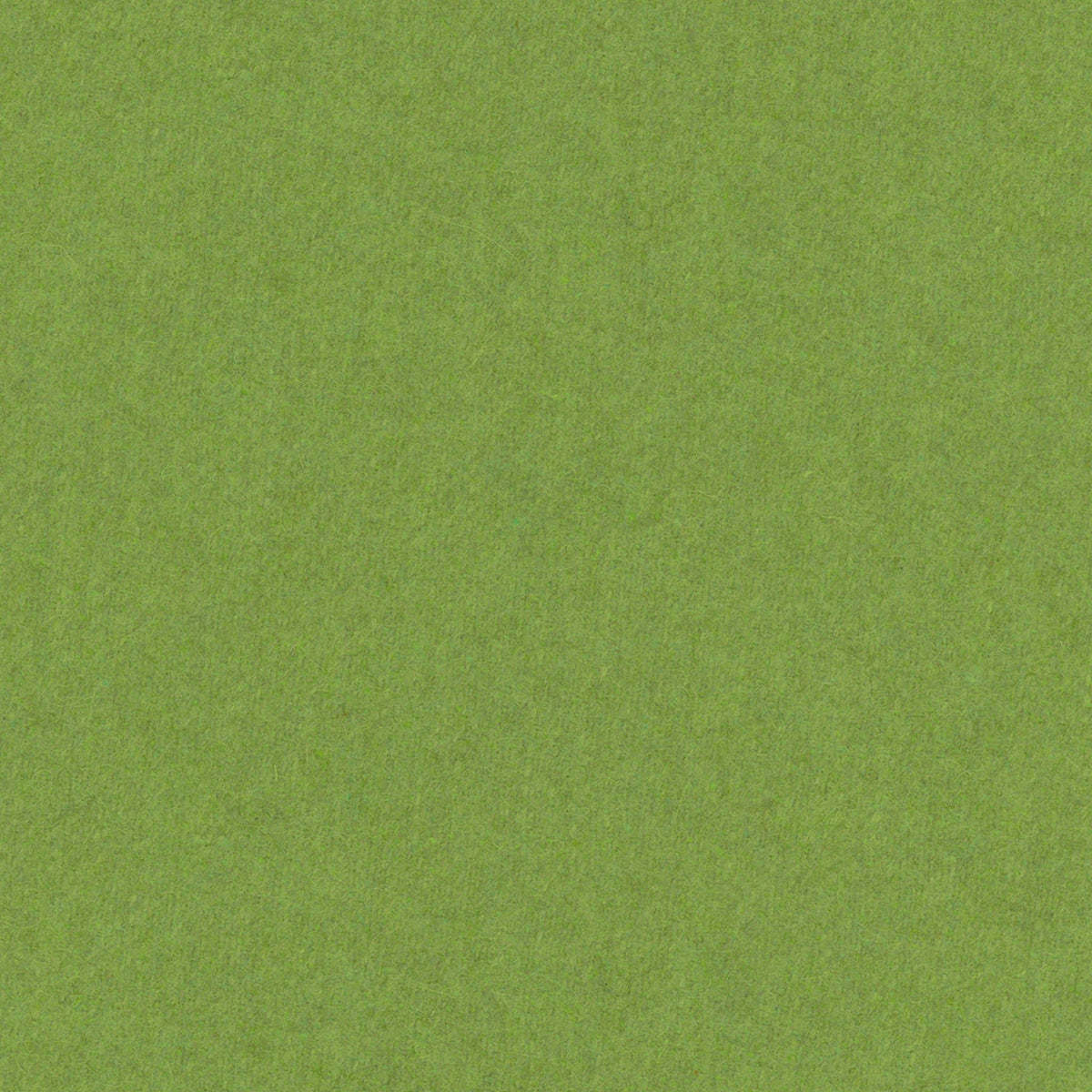 Skye Wool - Sprout