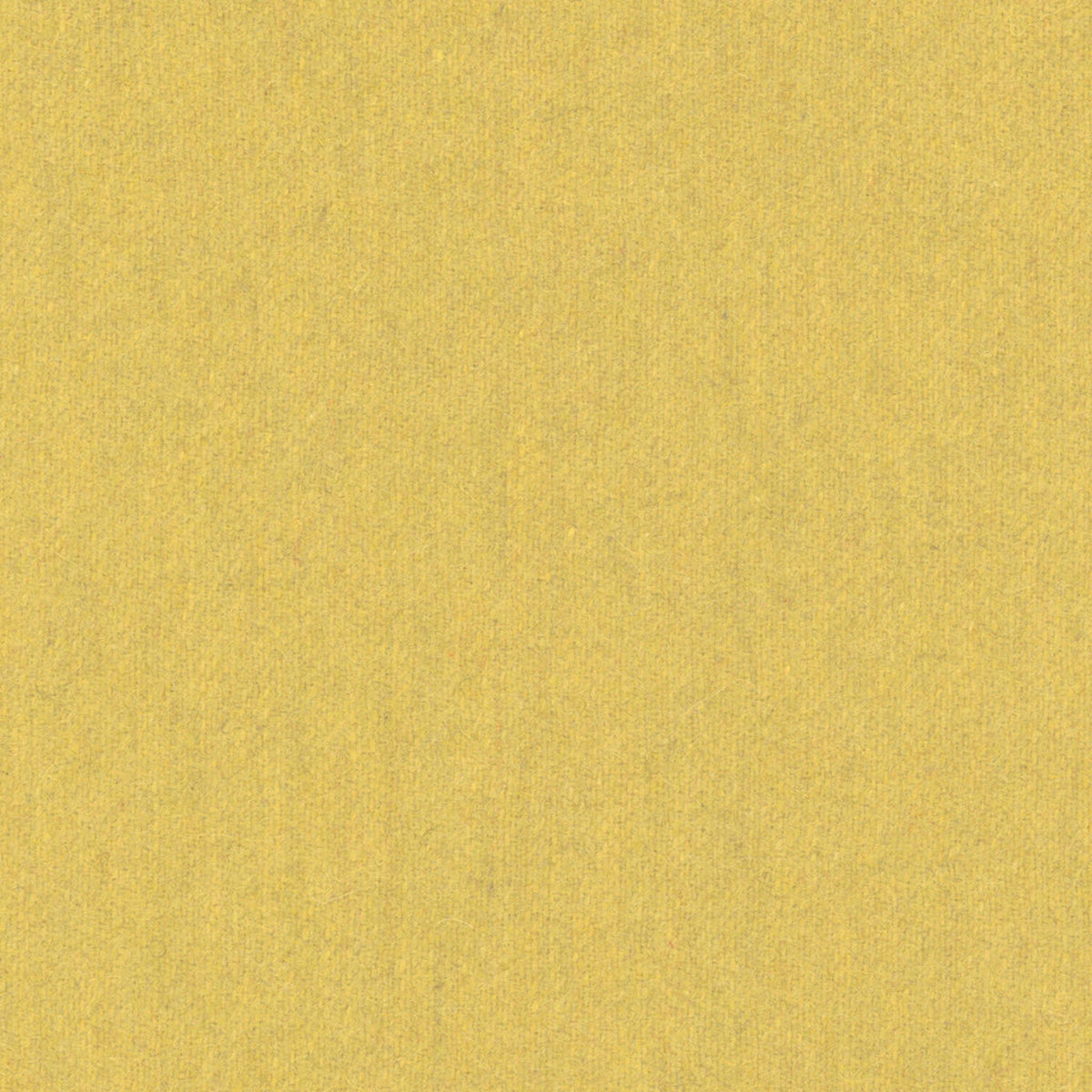 Skye Wool - Goldenrod