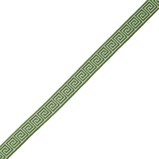 5/8" Aristotle Greek Key Trim by Samuel & Sons in Fern