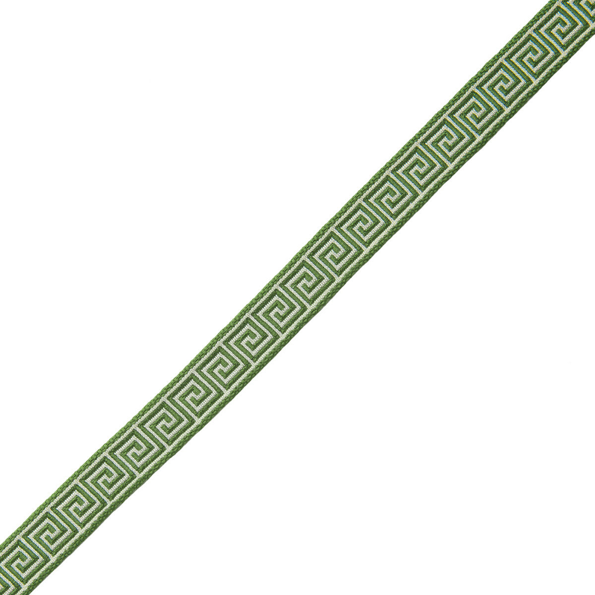 5/8" Aristotle Greek Key Trim by Samuel & Sons in Fern